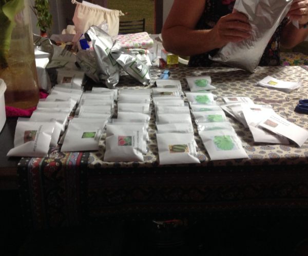 Seeds To Help With The Recovery Of Gardens Across Vanuatu