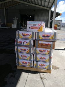 Boxes for Kiwanis to transport to Vanuatu