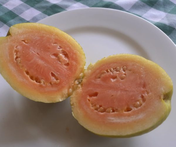 Ripe Guava Organically Grown